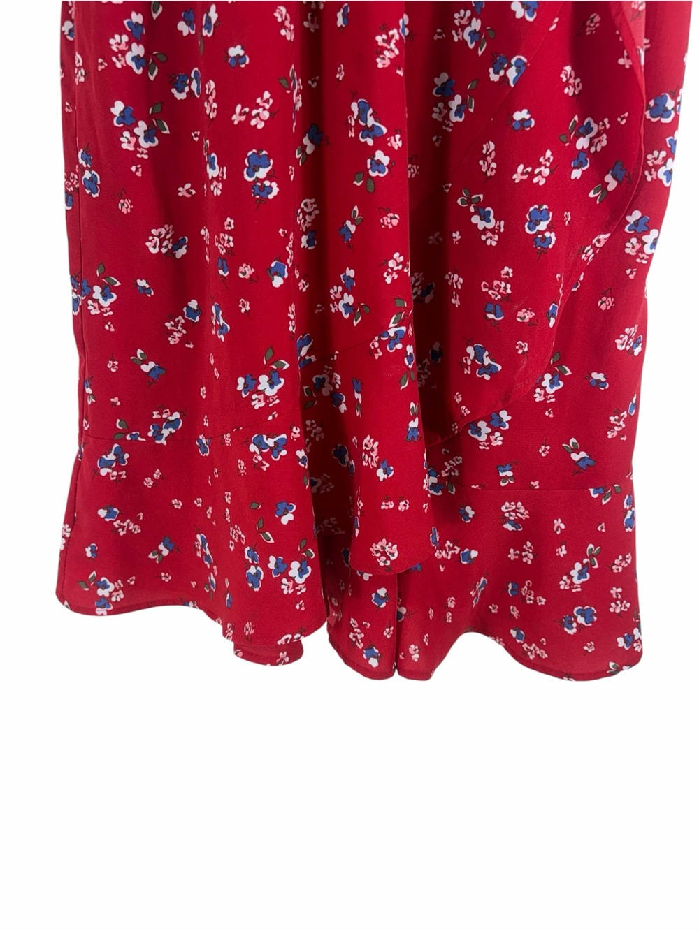 Dex Red Floral Spaghetti-Strap Dress with Blue and White Accents size small - Picture 5 of 13